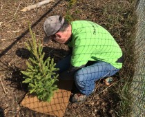 Erin Community Tree Planting 2016
