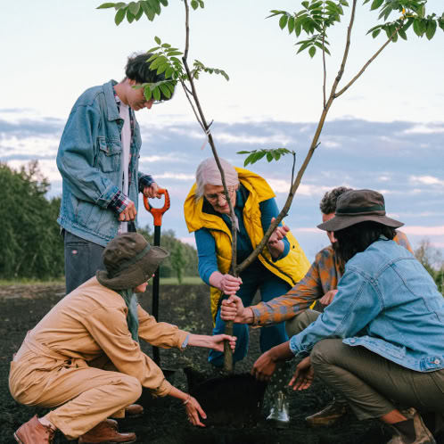 Five people gathered together to plant a tree