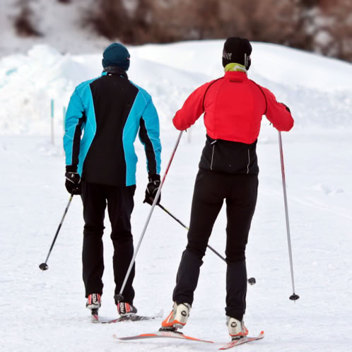 Two people with backs to camera cross country skiing