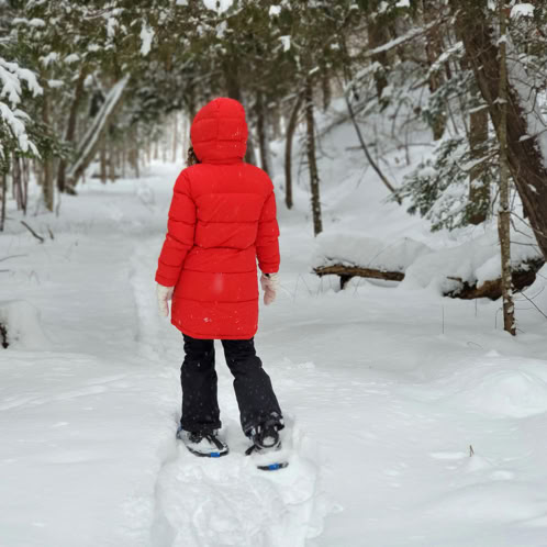 Person snowshoeing in winter