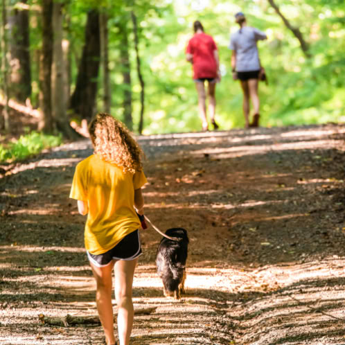 Back view of girl in yellow shirt walking on an unpaved road with dog with two women walking further ahead
