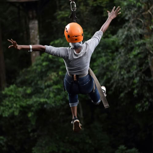 Back of person ziplining towards some trees